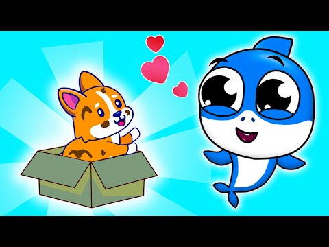 My New Little Pet | Animal Friends Song | Baby Shark Nursery Rhymes