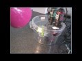 Photosynthesis and Respiration Concepts