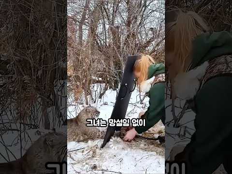 한 여성이 갇힌 살쾡이를 구한 후 이런 일이 벌어졌습니다