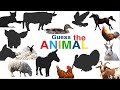 Guess the Farm Animal Sounds Challenge