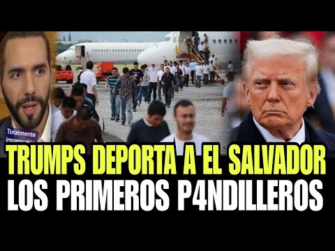 DONALD TRUMPS DEPORTA DE EE.UU A EL SALVADOR LOS PRIMEROS P4ND1LLER0S ,DIJO QUE LOS EXPULSARA A TODO