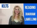 Diagram Labeling Strategies and Importance
