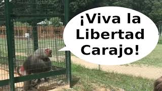 Javier en el Zoológico
