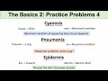 Medical Terminology and Definitions