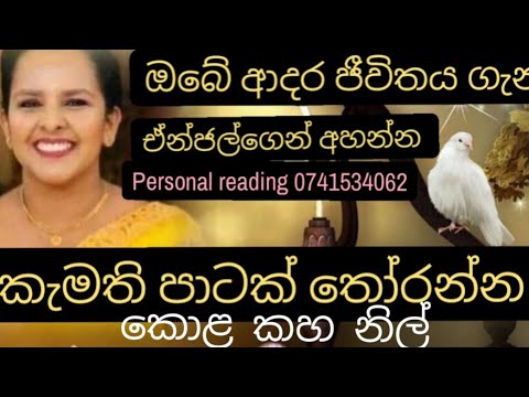 ඔබේ ආදර ජීවිතය ගැන ඒන්ජල්ගෙන් අහමු.කැමති පාටක් තෝරන්න . Time 14.56 කොළ    නිල් 20.56 