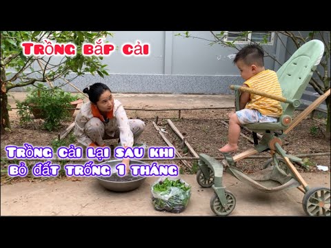 Dung Trồng Lại Vườn Rau Sau Khi Bỏ Đất Không Cả Tháng Trời - Em Gái Quê