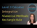 Numerical Integration Techniques