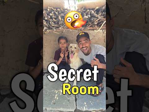 cold secret room 🫣💀|| #trending #viral #shotrs #dog #minivlog #ashortaday