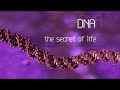Exploring the Secrets of DNA