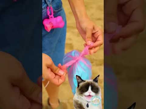 This girl will teach you some HOT beach hacks