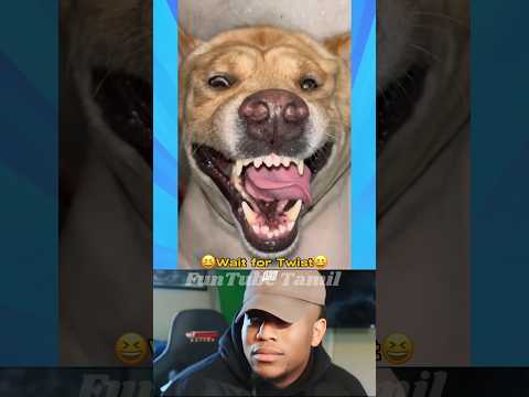 😈 He is the Villain of the series 😈.....😆 #shorts #comedytroll #comedyvideo #comedy