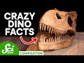 Dinosaur Discoveries and Misconceptions
