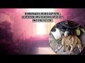Exploring Firefighting Tactics and Dog Rescue in Stockton
