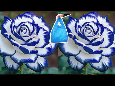 DIY Tutorial cara membuat Bunga Mawar dari Plastik Kresek | How to make Rose Flower from Plastic Bag