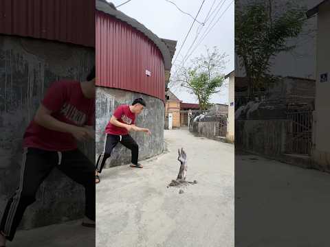 Đại dịch zombie xuất hiện trẻ trâu chạy mất dép #anime #funny #haihuoc #challenge #shortvideo