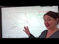 Kinesis and Tropism in Organisms