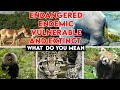 Endangered and Vulnerable Species Concepts