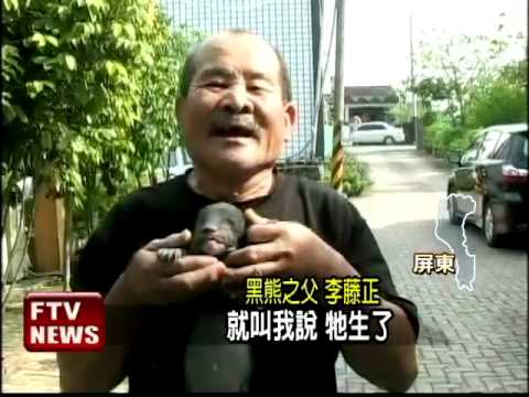 自然繁殖 黑熊寶寶超可愛－民視新聞 - YouTube(1分21秒)