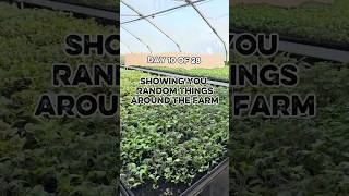 Day of 10 of 28 - The Boiler #farming101 #farmlife