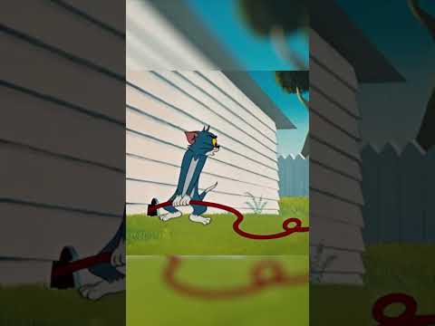 When it's final exam time  😦 | Tom & Jerry #Shorts | Watch more on Cartoonito Africa