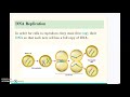 Exploring DNA Structure and Replication