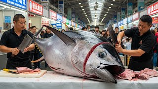 476kg Blackfin Tuna Chopped Like Nothing! 🪓 #BluefinTuna #TunaCutting #Sashimi