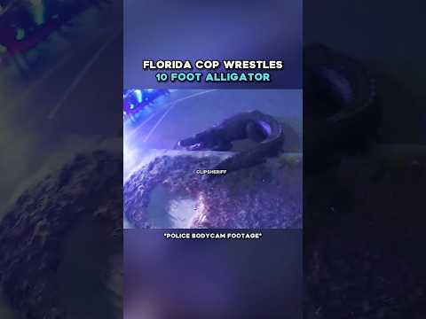 Florida Cop JUMPS ON An Alligator ๐ ๐ณ