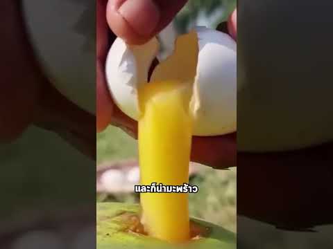 เทคนิคการใช้มะพร้าวจับปลา