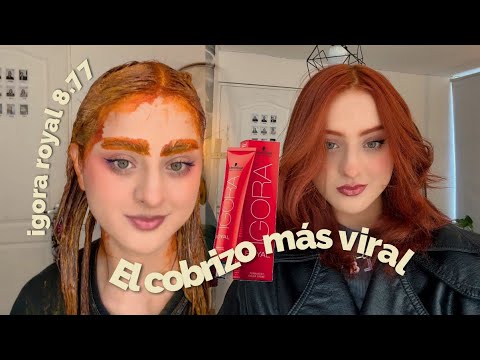 Probando el tinte COBRIZO MÁS VIRAL - IGORA Royal 8.77