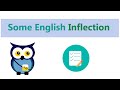 Understanding English Grammar Suffixes