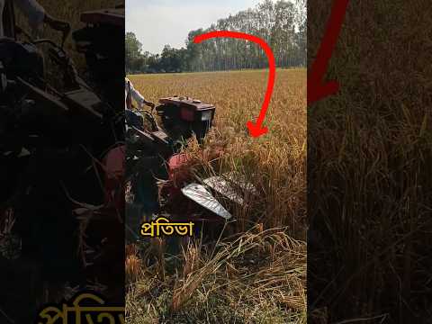 পাওয়ার টিলার কে বানিয়েছেন ধান কাটার মেশিন#funnyvideo #comedyvideo #comedy #funnyvideo