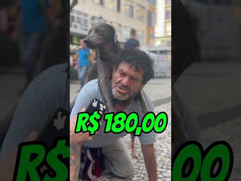 Qual a raça do seu cachorro? 🐶 #pet #cachorro #animal #familia #viral