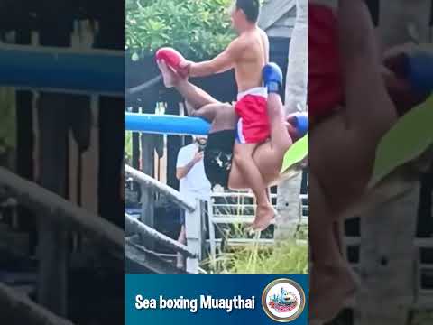 Sea boxing Muaythai - try not to laugh short clips  #funny