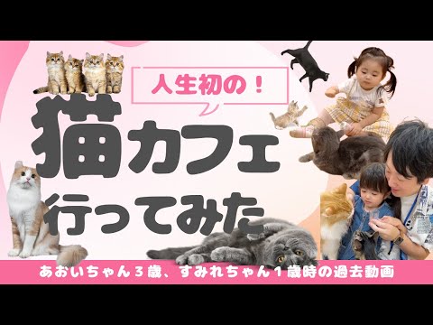 【猫カフェ】初猫カフェ！猫に癒された！