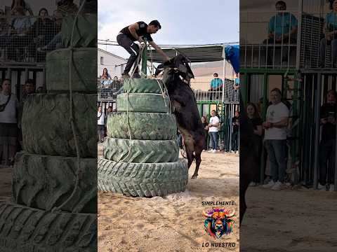 GRAN VACA JAULERA DE LA PALOMA.‼️