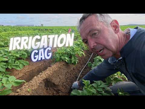 Pose de Goutte à Goutte