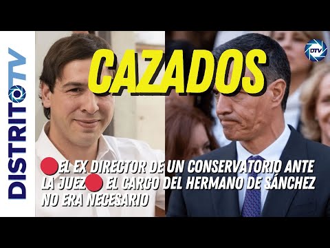 🔴El ex director de un conservatorio ante la juez🔴 El CARGO DEL HERMANO DE SÁNCHEZ no era necesario