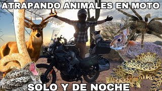 Safari En Moto Bajo Las Estrellas Del Desierto