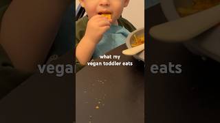 What My Vegan Toddler Eats 🌱 | hot for food #Shorts