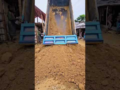 ভাইরাল করে দাও
