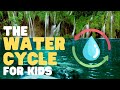 Understanding the Water Cycle Concepts