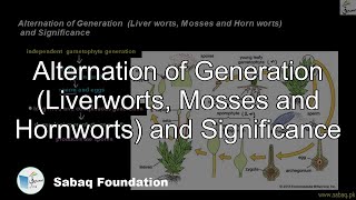 Alternation of Generation (Liverworts, Mosses and Hornworts) and Significance