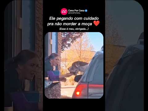 Ele pegando com cuidado pra não morder a moça 😂❤️