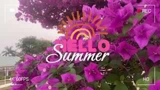 Excelente música relajante para reducir el estrés, la ansiedad y los pensamientos repetitivos