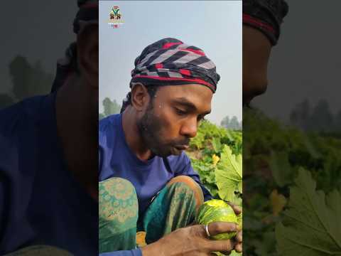 অল্পের জন্য ধরা খাই নি😋🙋#farmer #monirul #highlights