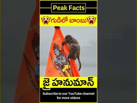😯దేవుడి రూపంలో కోతి😯 Monkey in ayodhya story #factsintelugu #amazingfacts #peakfacts #shorts