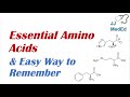 Essential Amino Acids and Their Functions