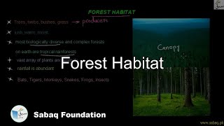 Forest Habitat