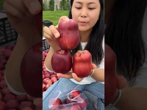 Oh my God, the apples from the garden turned out to be very fresh and attractive