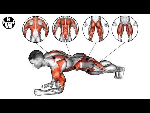 Full-Body Workouts to Burn Muscle Fast at Home. (Every muscle!)